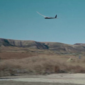 One of the latest instagram posts about pumale