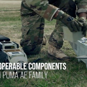 One of the latest instagram posts about pumale