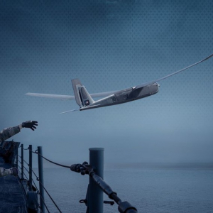 One of the latest instagram posts about pumale