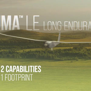 One of the latest instagram posts about pumale