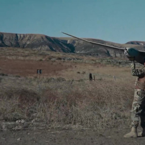 One of the latest instagram posts about pumale