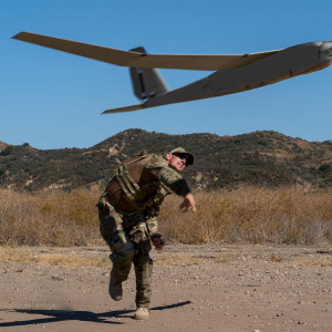 One of the latest instagram posts about pumale