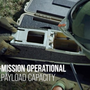 One of the latest instagram posts about pumale