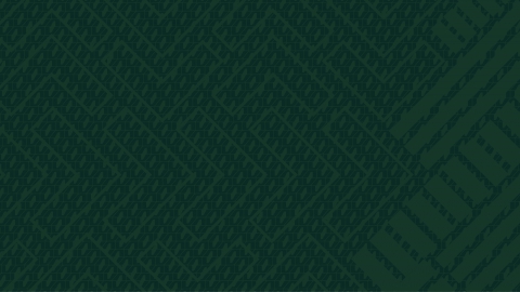 Av dna wallpaper green 3440x1440