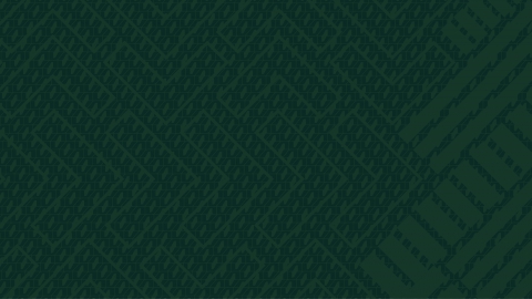 Av dna wallpaper green 3440x1440