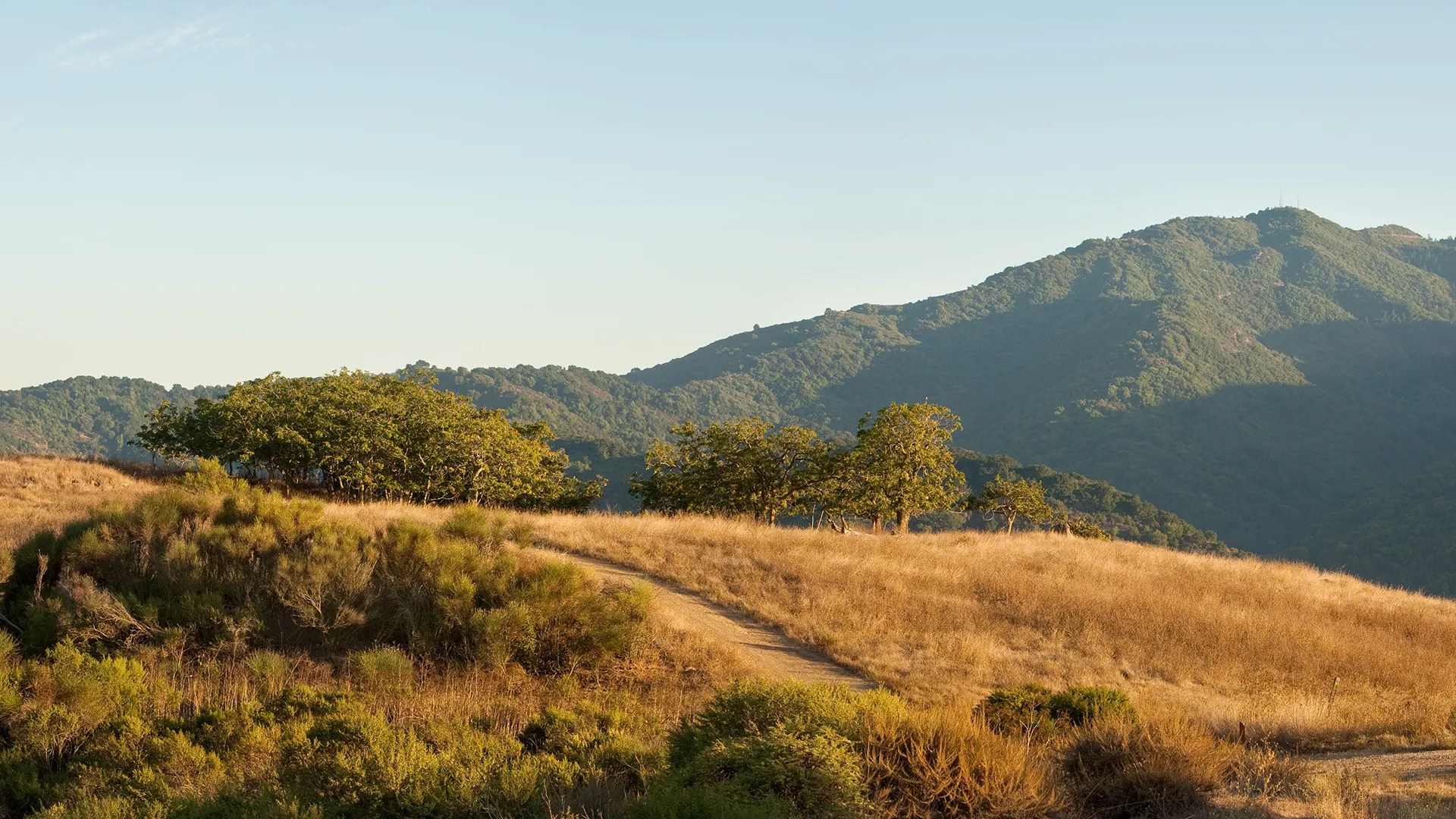 Outdoor scene featuring hills and trees