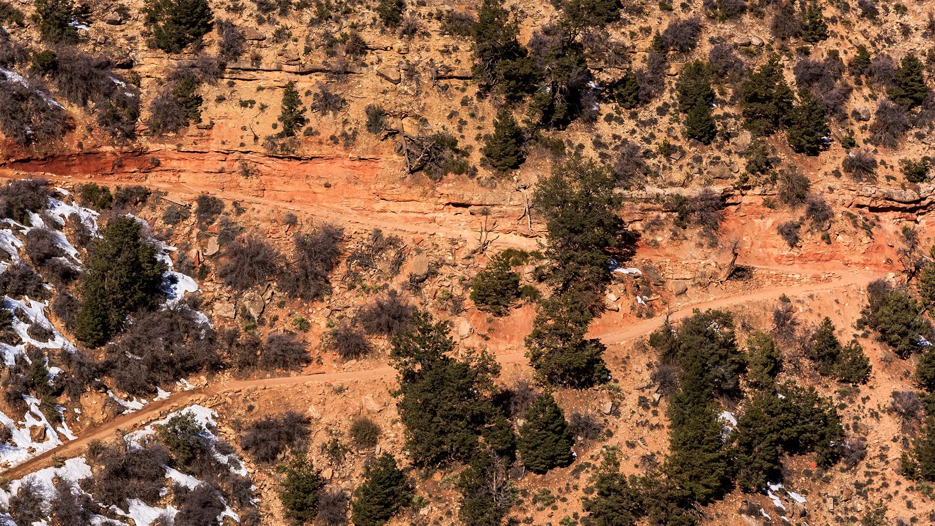 Terrain